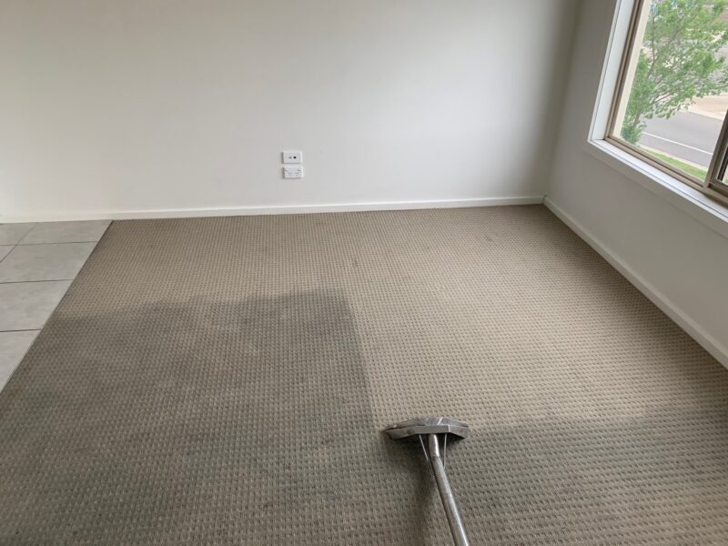 Why Carpet Cleaning Is Important