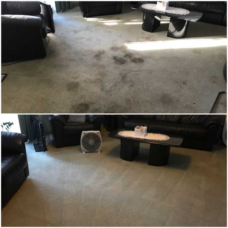 dirty to clean carpet