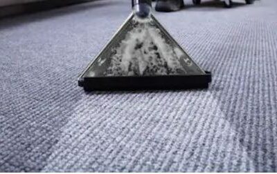 Menai Carpet Cleanining
