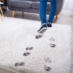 footprints on carpet