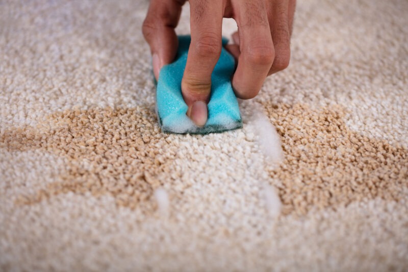 How To Remove Stains From Carpet