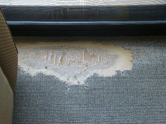 When Should You Replace Your Carpets?