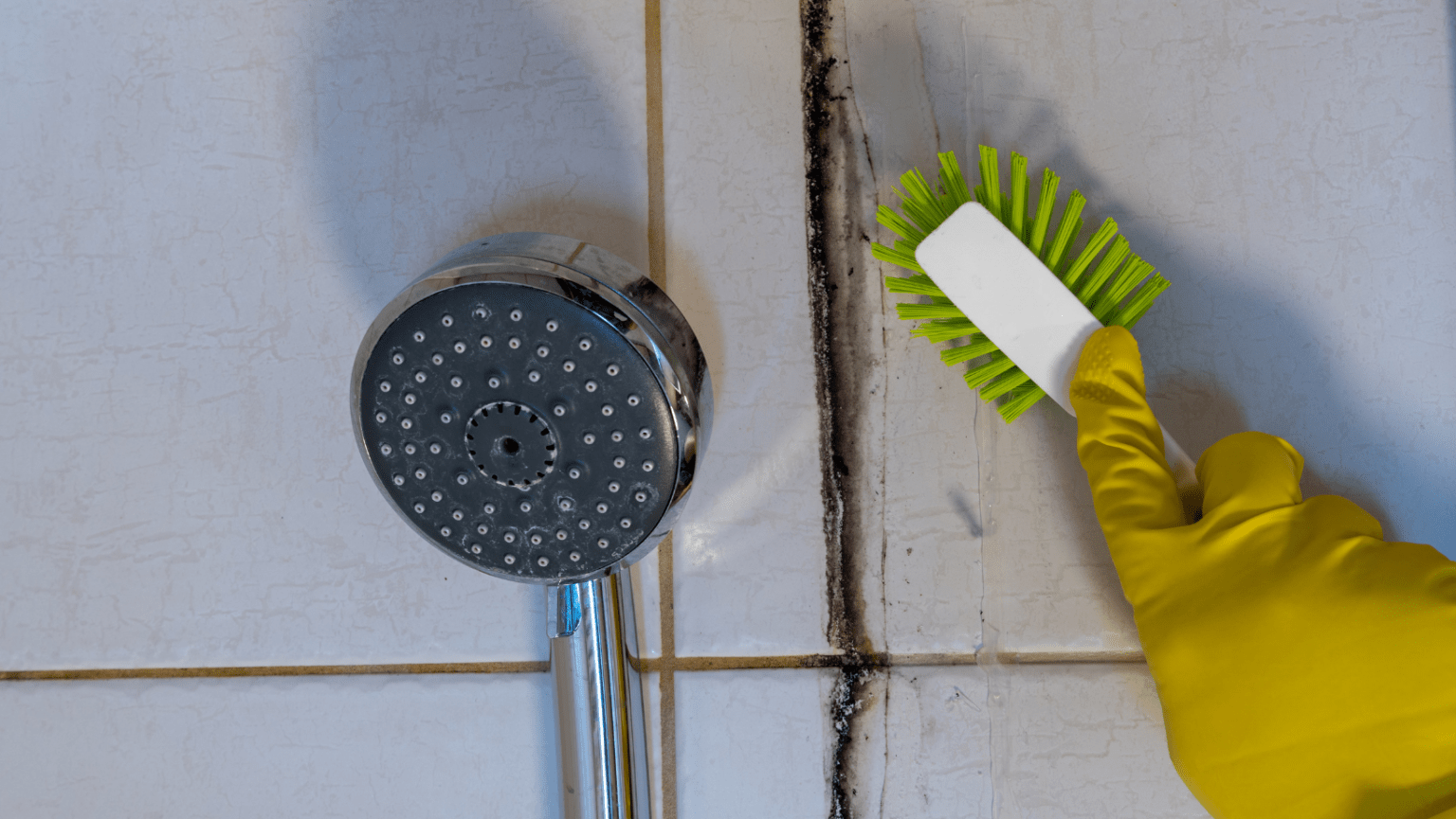 The Science of Grout Discoloration: Causes and Preventive Measures ...