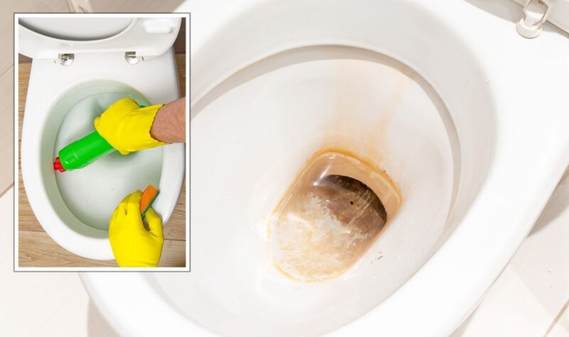 How To Clean Toilet Bowl Stains