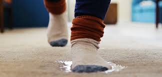 Understanding Water Damage Restoration for Carpets: A Complete Guide