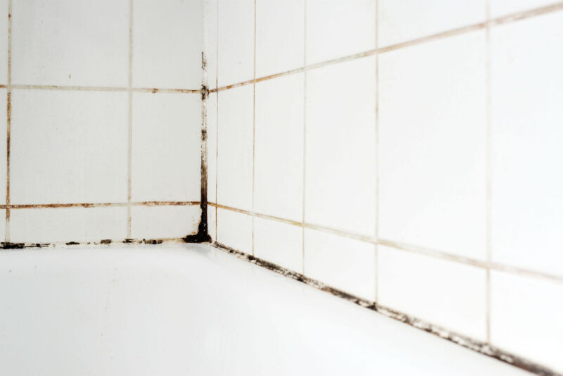 Toilet Cleaning Hacks That Actually Work